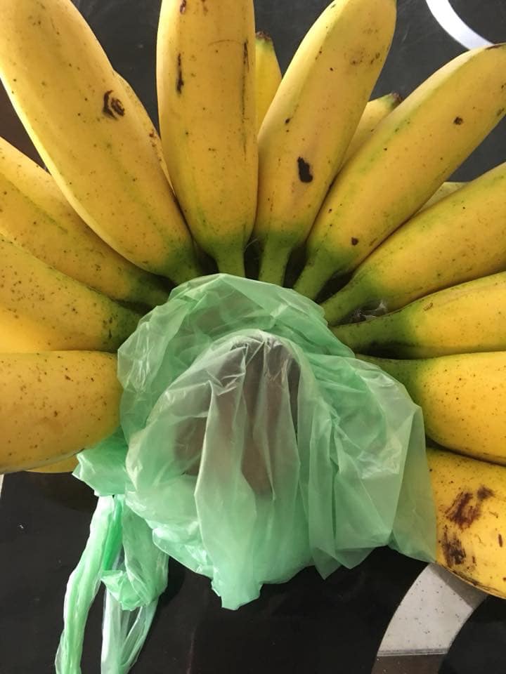 drrizal_tips pisang