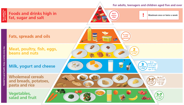 Food_pyramid_transp_landscape_640