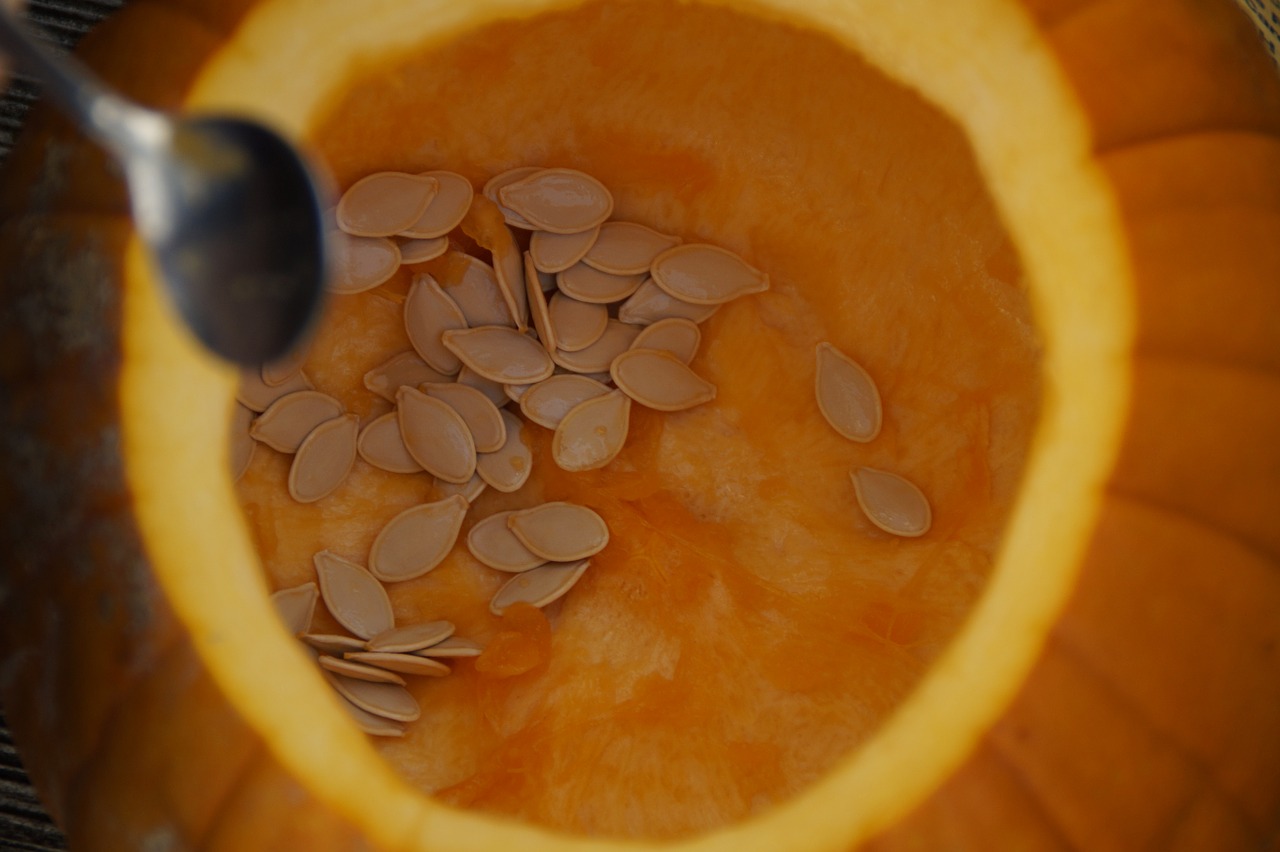 pumpkin-seeds-201098_1280