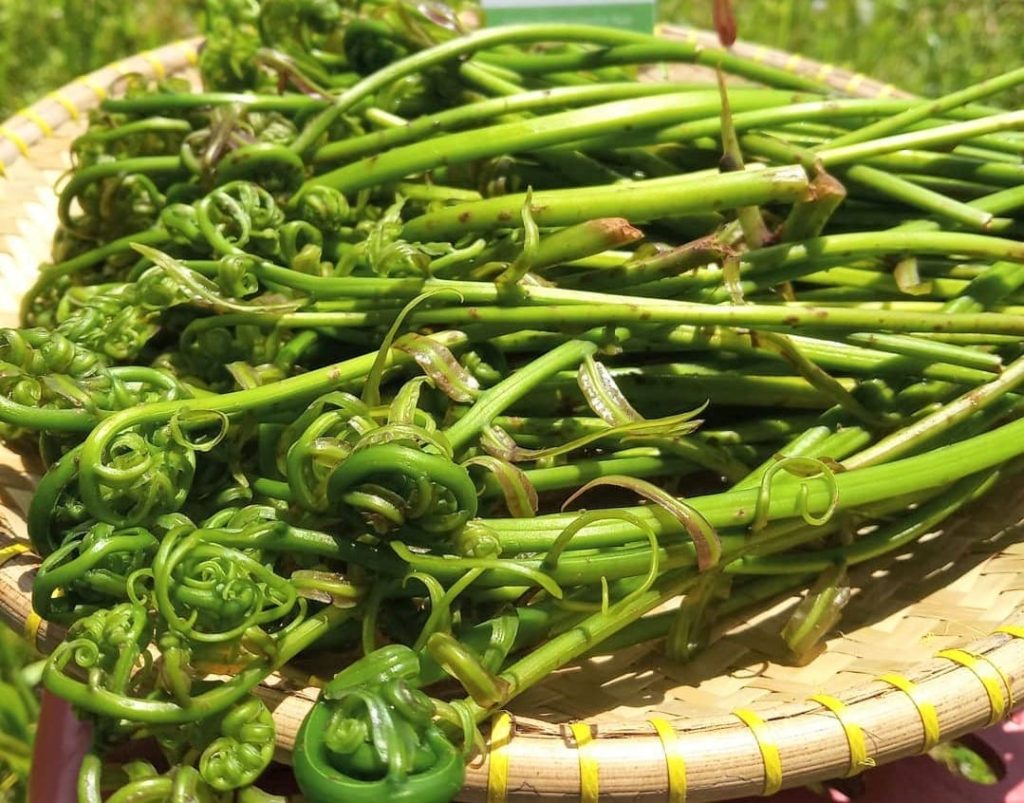 sayur ulam