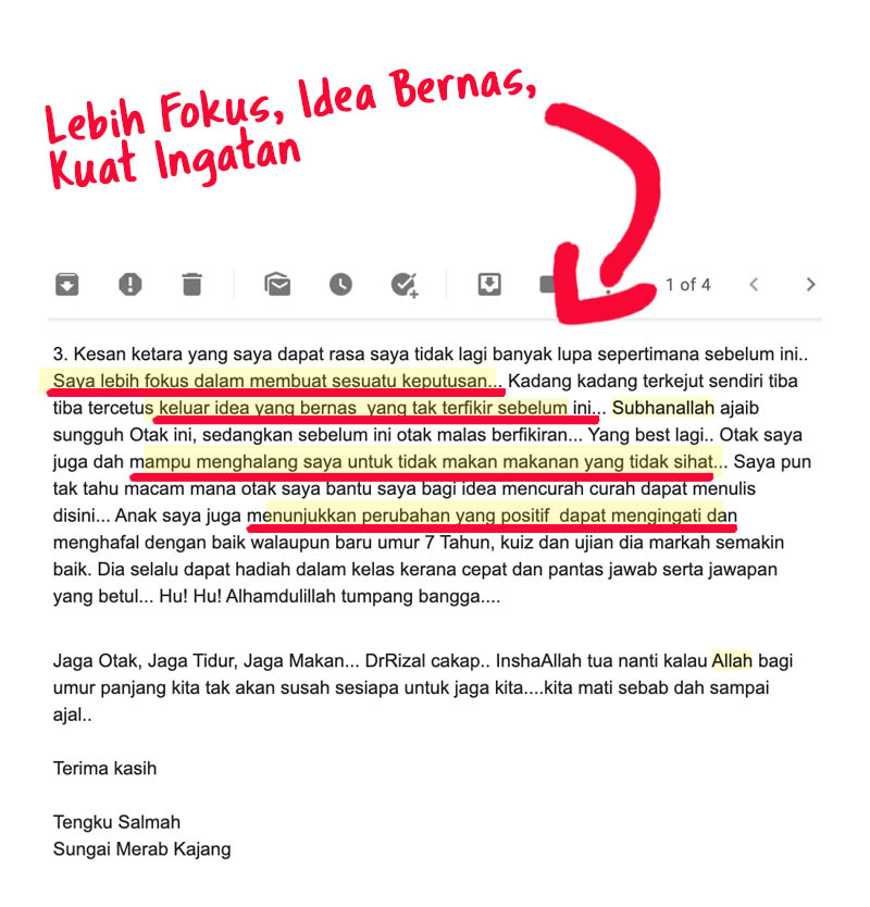 main testi 2