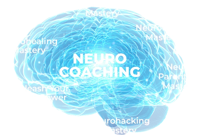 NCoaching 4.0 Killer
