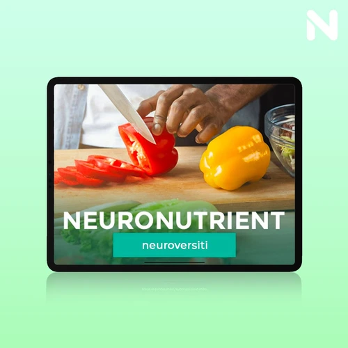 Bonus-4-Neuroconference-XII-OnlineCourse
