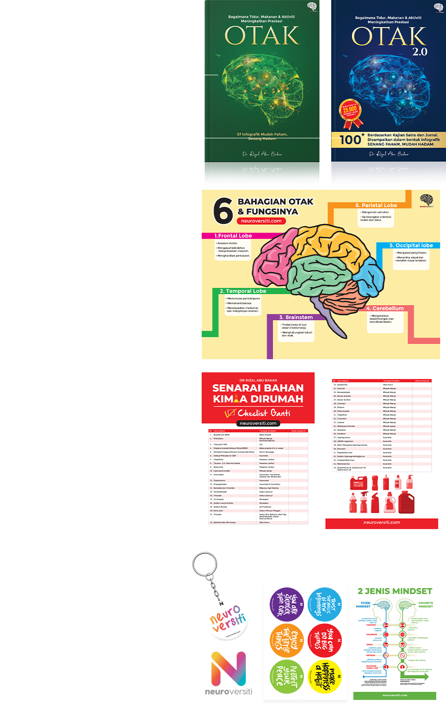 1323_Neuroversiti_neurobox 2