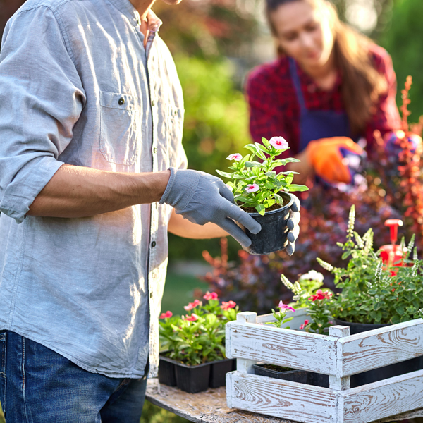 Berkebun di luar rumah sebagai salah satu bentuk senaman ringan