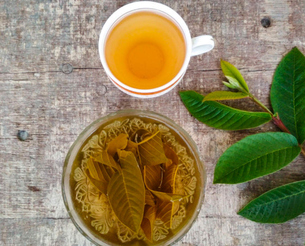 Secawan teh daun jambu batu bersama daun jambu segar di atas meja kayu, menggambarkan cara penyediaan minuman berkhasiat ini.