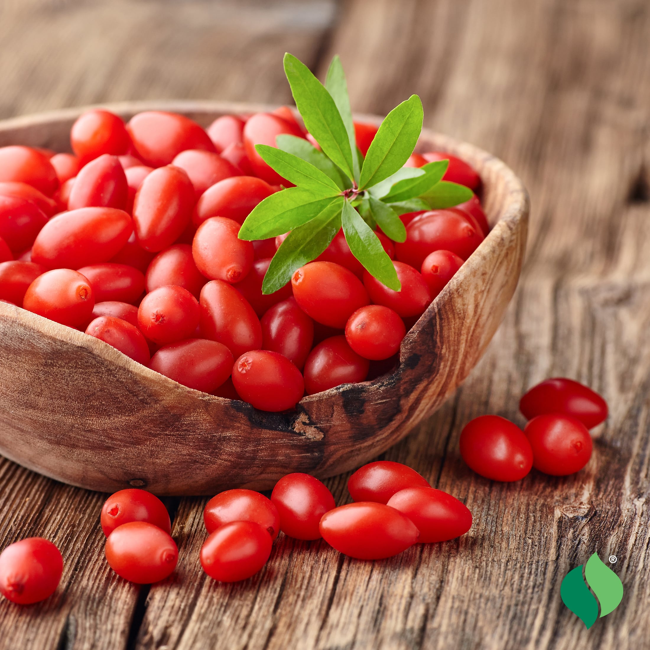Khasiat goji beri – mangkuk berisi goji beri merah segar di atas meja kayu, simbol makanan untuk tenaga, kulit dan otak.